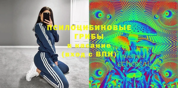 ПСИЛОЦИБИНОВЫЕ ГРИБЫ Наволоки
